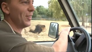 Zoo de Thoiry : un safari aux portes de Paris