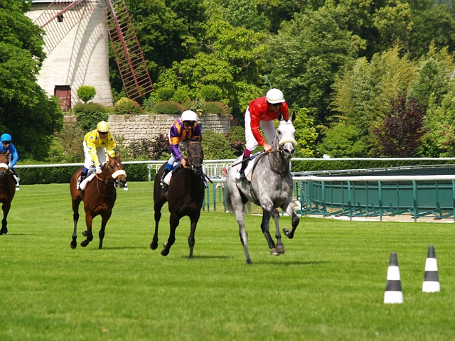 Documentaire Quand les bookmakers fixent leurs cotes