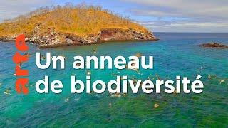 À la recherche de l'équateur