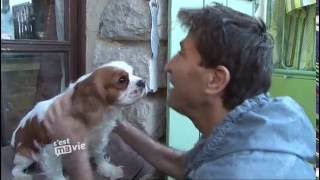 Animaux, une passion sans limite