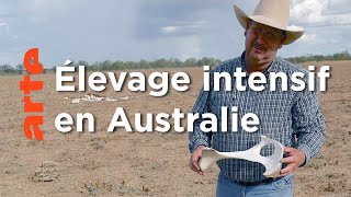 Documentaire Australie, le continent désert | Planète sable (4/5)