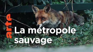 Documentaire Berlin et ses animaux