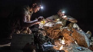 Dans l'assiette des armées