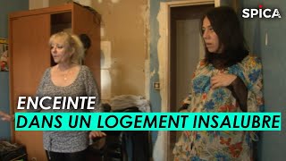 Enceinte, je vis dans un logement insalubre