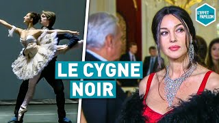 Documentaire Le cygne noir