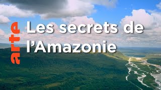 Documentaire La Jungle | Amérique du sud, sur la route des extrêmes (1/5)