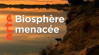 La Polésie menacée par l’activité humaine