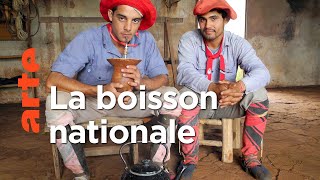 Le maté, l'élixir des Argentins