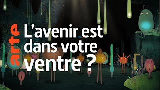 Documentaire Microbiote, les fabuleux pouvoirs du ventre