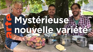 Documentaire Pommes de terre, tubercules d’hier et d’aujourd’hui