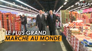 Documentaire Rungis : au cœur du plus grand marché au monde