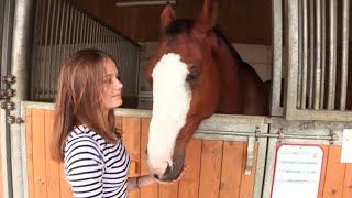SPA : j'adopte un cheval !
