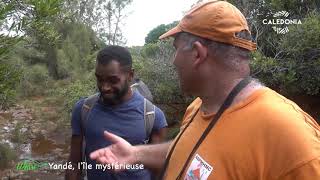 Documentaire Yandé, l’île mystérieuse