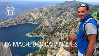 A la découverte des Calanques, joyau préservé des Marseillais
