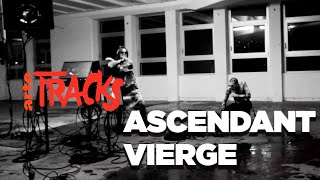 Ascendant vierge : Castafiore Gabber
