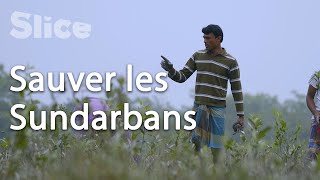 Documentaire Bangladesh : la solution d’Asim pour sauvegarder sa forêt