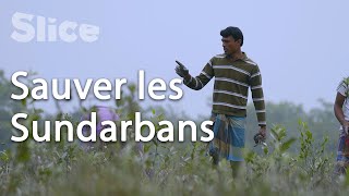 Bangladesh : la solution d'Asim pour sauvegarder sa forêt