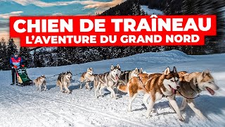 Documentaire Chiens de traîneau, l’aventure du Grand Nord