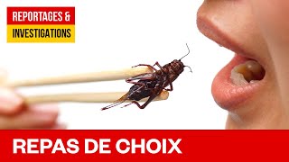 Des insectes au menu - Une solution au problème de la faim dans le monde?