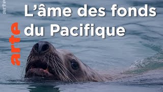 Eqalusuaq, sur la piste des prédateurs cachés en Alaska