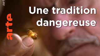 Documentaire Inde, le miel des montagnes bleues | Les maîtres des abeilles