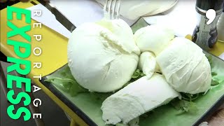 La mozzarella dans tous ses états