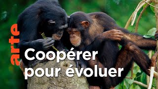 La vie, l'amour et la mort | Animalement vôtre
