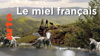 Le berger des abeilles | Les maîtres des abeilles