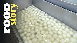 Documentaire Les secrets de la mozzarella di buffala