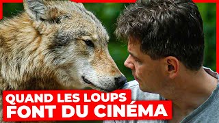 Documentaire Quand les loups font du cinéma