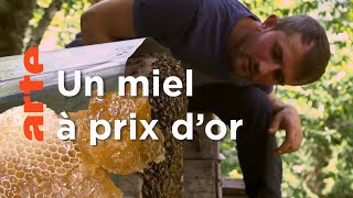 Documentaire Turquie, deux rivaux pour un trésor | Les maîtres des abeilles