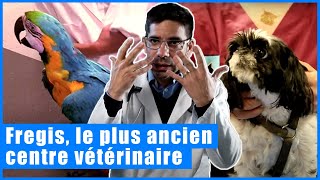 Vétérinaires, au coeur de l'urgence
