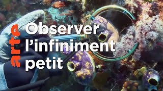 À +/- 5 mètres de la surface des océans (2/5)
