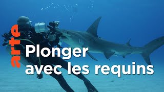 Documentaire À +/- 5 mètres de la surface des océans (3/5)