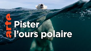À +/- 5 mètres de la surface des océans (5/5)