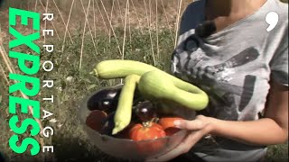 Allergies alimentaires: que reste-t-il a manger ?