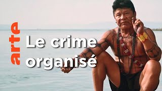 Amazonie - Enquête au coeur des luttes indigènes
