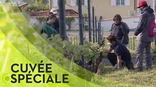 Documentaire Comment les agriculteurs et viticulteurs s’en sortent?