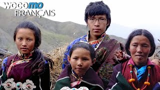 Fils unique de l'Himalaya