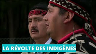 La révolte des indigènes