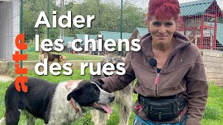 Offrir une nouvelle vie aux animaux maltraités