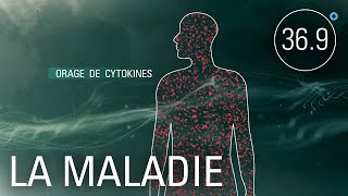 Pourquoi SARS-CoV-2 est-il si dangereux?