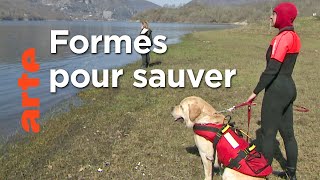 Des chiens secouristes des mers