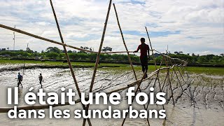 Documentaire Il était une fois dans les Sundarbans