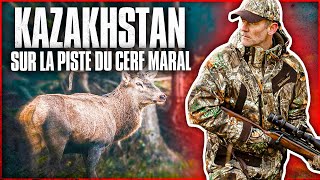 Kazakhstan : sur la piste du cerf maral