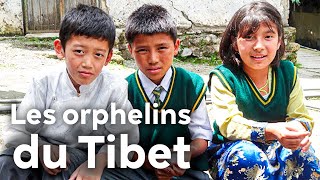Documentaire Les orphelins du Tibet