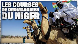 Les courses de dromadaires du Niger