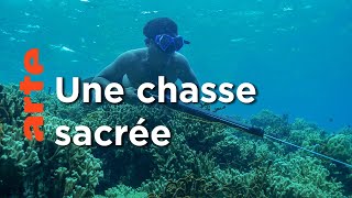 Les secrets d'une ile | À la rencontre des peuples des mers
