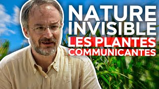 Nature invisible - Les plantes communicantes
