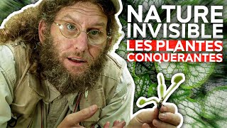 Documentaire Nature invisible – Les plantes conquérantes